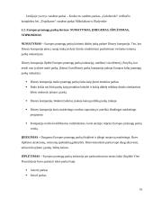 Pramogų parkų istorija ir tipai 15 puslapis