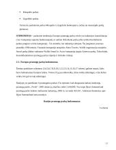 Pramogų parkų istorija ir tipai 16 puslapis