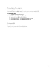 Pramogų parkų istorija ir tipai 2 puslapis