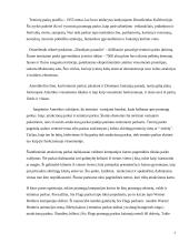 Pramogų parkų istorija ir tipai 6 puslapis