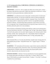 Pramogų parkų istorija ir tipai 8 puslapis