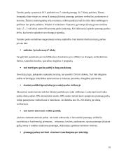 Pramogų parkų istorija ir tipai 9 puslapis