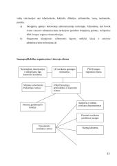 Prevencinė medicinos pagalba poliklinikoje 13 puslapis