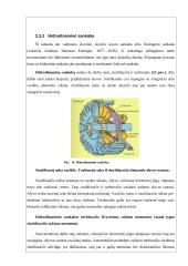 Sankabos valdymas 16 puslapis