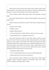 Sankabos valdymas 18 puslapis