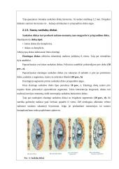 Sankabos valdymas 9 puslapis