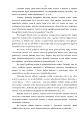 Šiuolaikinės globalinės ekonomikos problemos ir jų sprendimas 12 puslapis