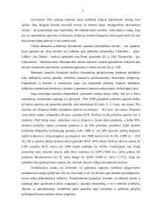 Šiuolaikinės globalinės ekonomikos problemos ir jų sprendimas 3 puslapis