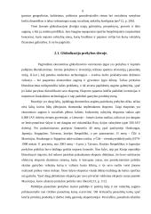 Šiuolaikinės globalinės ekonomikos problemos ir jų sprendimas 9 puslapis