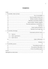 Šviesolaidžiai ir informacinis verslas 2 puslapis