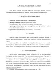 Šviesolaidžiai ir informacinis verslas 11 puslapis