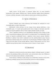 Šviesolaidžiai ir informacinis verslas 12 puslapis