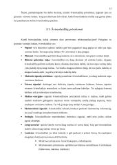 Šviesolaidžiai ir informacinis verslas 13 puslapis