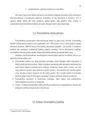 Šviesolaidžiai ir informacinis verslas 14 puslapis