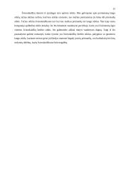 Šviesolaidžiai ir informacinis verslas 15 puslapis