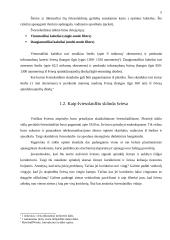 Šviesolaidžiai ir informacinis verslas 5 puslapis