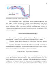 Šviesolaidžiai ir informacinis verslas 6 puslapis