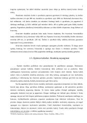 Šviesolaidžiai ir informacinis verslas 7 puslapis