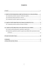 Tarptautinė prekyba ir jos organizacijų formos 3 puslapis