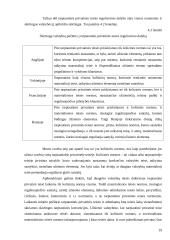 Tarptautinės privatinės teisės samprata 19 puslapis