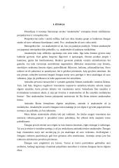 Teisinės atsakomybės rūšys 2 puslapis