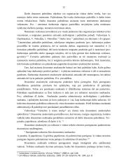 Teisinės atsakomybės rūšys 12 puslapis