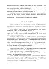 Teisinės atsakomybės rūšys 10 puslapis