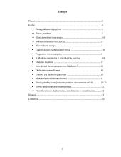 Tiesos problema 2 puslapis