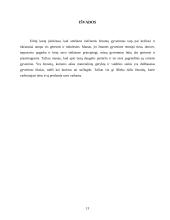 Tiesos problema 13 puslapis