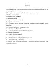 Tiesos problema 3 puslapis