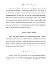 Tiesos problema 5 puslapis