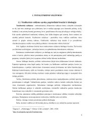 Totalitarinis ir autoritarinis valdymas (lyginamoji analizė) 4 puslapis