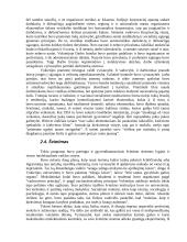 Totalitarinis režimas Vokietijoje ir Rytų Europoje 9 puslapis