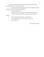 Transporto politika 15 puslapis