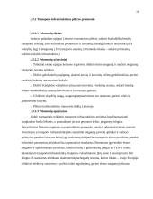 Transporto politika 17 puslapis