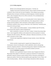 Transporto politika 18 puslapis