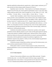 Transporto politika 19 puslapis