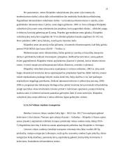 Transporto politika 20 puslapis