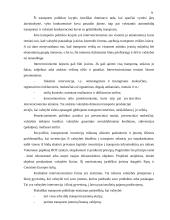 Transporto politika 8 puslapis