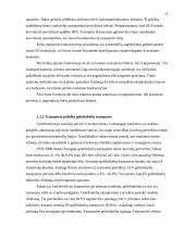 Transporto politika 10 puslapis