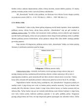 Veiklos analizė: Lietuvos bankų sektorius ir AB "Hansabankas" 15 puslapis