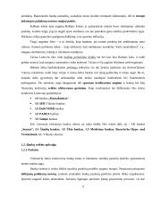 Veiklos analizė: Lietuvos bankų sektorius ir AB "Hansabankas" 4 puslapis
