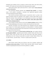 Veiklos analizė: Lietuvos bankų sektorius ir AB "Hansabankas" 5 puslapis