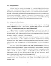 Veiklos analizė: Lietuvos bankų sektorius ir AB "Hansabankas" 6 puslapis