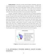 Veiklos analizė: Lietuvos bankų sektorius ir AB "Hansabankas" 10 puslapis