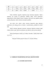 Šilumvežio dyzelinis variklis 17 puslapis