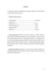 Šilumvežio dyzelinis variklis 3 puslapis