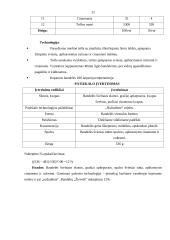 Konditerinių patiekalų paruošimas 11 puslapis