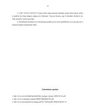 Draudimo nuo nelaimingų atsitikimų palyginamoji analizė: UAB "Bonum publicum" ir UAB "Aviva Lietuva" 14 puslapis