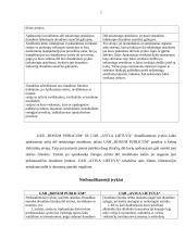 Draudimo nuo nelaimingų atsitikimų palyginamoji analizė: UAB "Bonum publicum" ir UAB "Aviva Lietuva" 7 puslapis